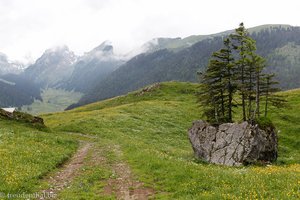 Wanderweg über die Alp Soll zur Appenzeller Sämtis