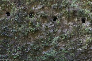 Die Löcher im Steilhang sind die Lichtfenster der Tunnel.