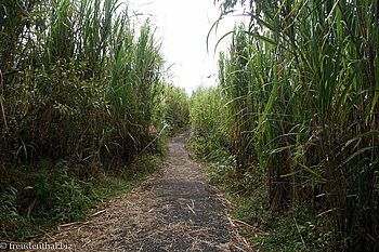 Zuweg zum Mirador im Jahr 2007