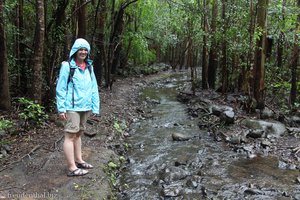 Wanderung zum Wasserfall