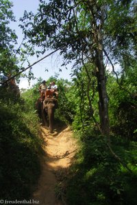 Elefantenritt - da geht´s runter - Taweechai