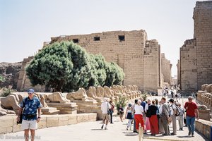 ganz schön viele Leute vor dem Tempel von Karnak