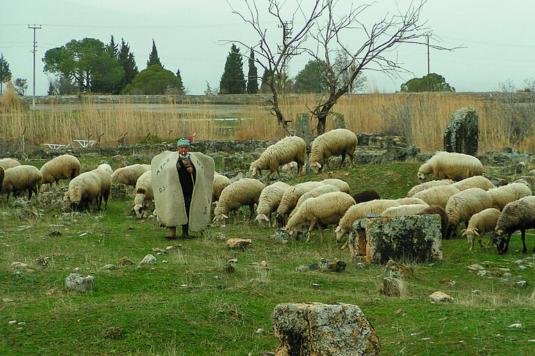 Türkischer Schäfer nahe Hierapolis