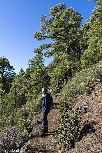 Schöner Wanderweg mit Aussicht - Pico de la Nieve