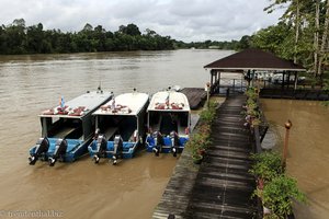 Anleger der Kinabatangan Riverside Lodge