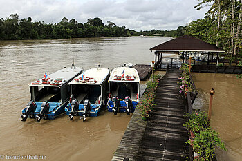 Anleger der Kinabatangan Riverside Lodge