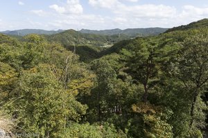 Blick Richtung des Unterwassergrabes von König Munmu