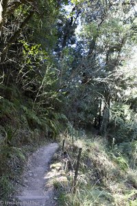 auf dem Tugela Gorge Trail im Royal Nata NP