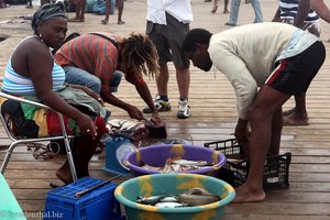 Fischverkäufer auf Sal