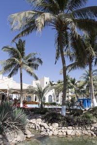 im Garten des Hilton Salalah im Oman