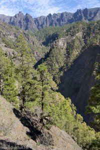 Hoch über dem Barranco Almendro Amargo