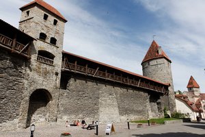 Teil der Wehrmauer von Tallinn