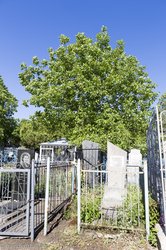 Die Gräber sind alle mit Zäunen umgeben. Jüdischer Friedhof von Balti.