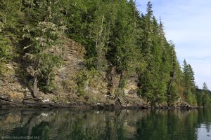 Steilufer am Clearwater Lake