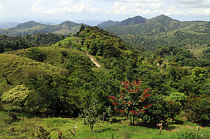 Blick über die Hügellandschaft des El Tigre