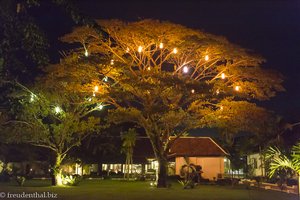 Laternen im Baum - Garten der Villa Vang Vieng Riverside