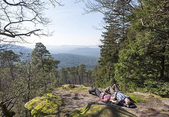 Ausblick vom Englischberg bei Erckartswiller