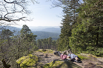 Ausblick vom Englischberg bei Erckartswiller