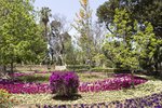 Bunte Blumen im San Anton Garden