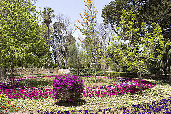 Beet beim San Anton Garden