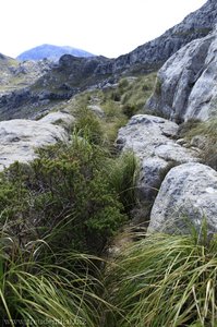 von Gras überwucherte Steinbrocken