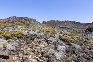 sonniger Weg zum Gipfel des Piton des Neiges