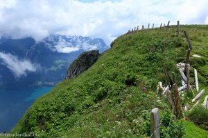 Blick von der Ostflanke auf den Urnersee