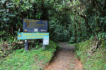 Start zum El Sendero Oropéndola
