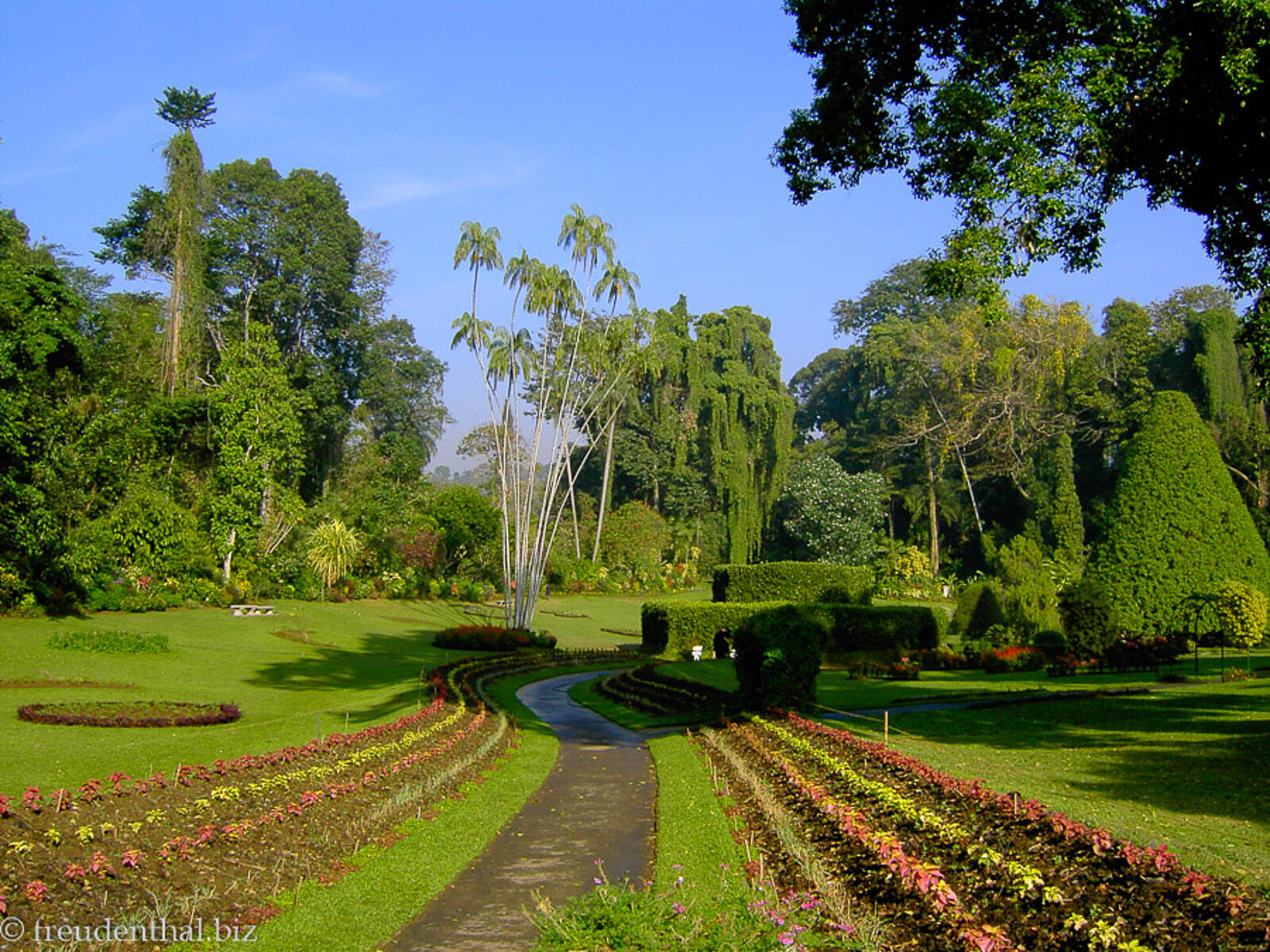 Wege und Beete im botanischen Garten von Peradeniya auf Sri Lanka