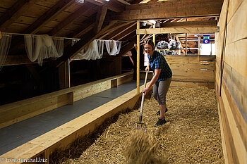 Bergrestaurant Habergschwänd - Strohlager