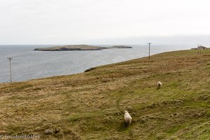 Blick auf die Insel Mousa