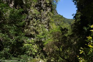 Ausblick an der Levada von Queimadas