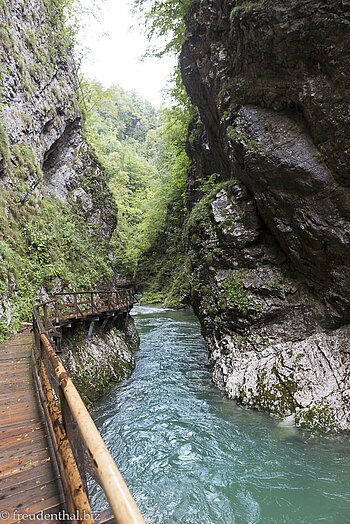 Schmalstelle der Blejski Vintgar