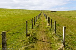 über Felder geht es zu den Klippen von Marwick Head