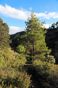 Idylle auf dem Fernwanderweg