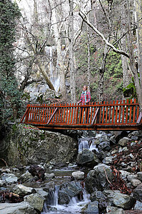 Brücke Kaledonia Waterfall