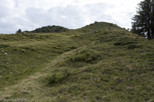 Wanderung Piesenkopf