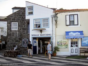 Whale Watching Station in Lajes