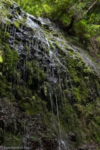 überall plätschert Wasser bei der Fajã do Rodrigues