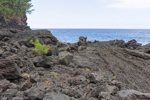 Lavaküste bei der Anse des Cascades