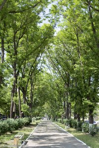 ein Park in Tiraspol, der Hauptstadt von Transnistrien