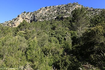 Berg bei Valldemossa