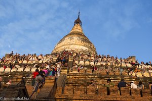 Sonnenuntergangstouristen bei der Shwesandaw Pagode