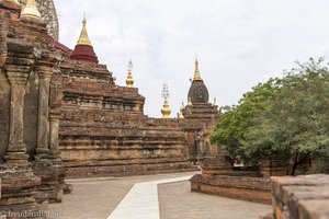 Dhammayazika Pagode in Bagan