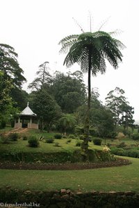 Botanischer Garten von Hakgala (Hakala?)
