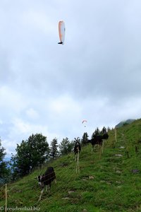 Gleitschirmflieger am Niederbauen