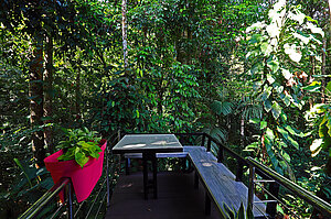 Der Balkon reicht in den Dschungel - Yabá Chiguí Lodge