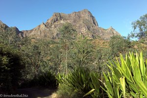 der Pico da Antonia auf Santiago der Kapverden