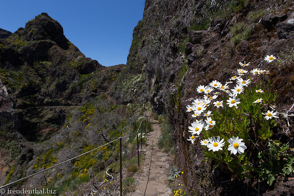 schöner Weg nach dem Umweg zum Pico Ruivo auf Madeira