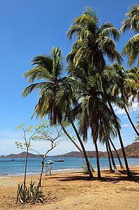 Die Playa Hermosa - ein herrlicher Palmenstrand